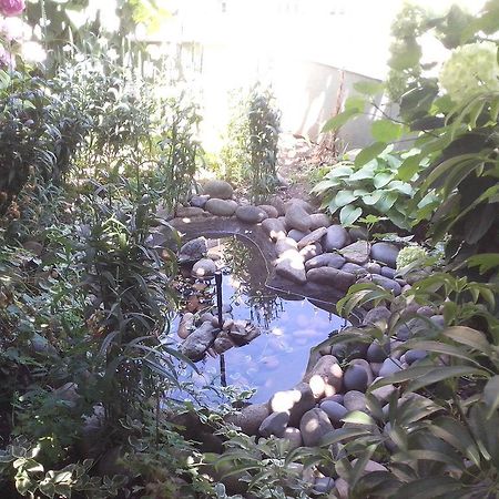 צ'רנומורץ Guest House Krasi מראה חיצוני תמונה