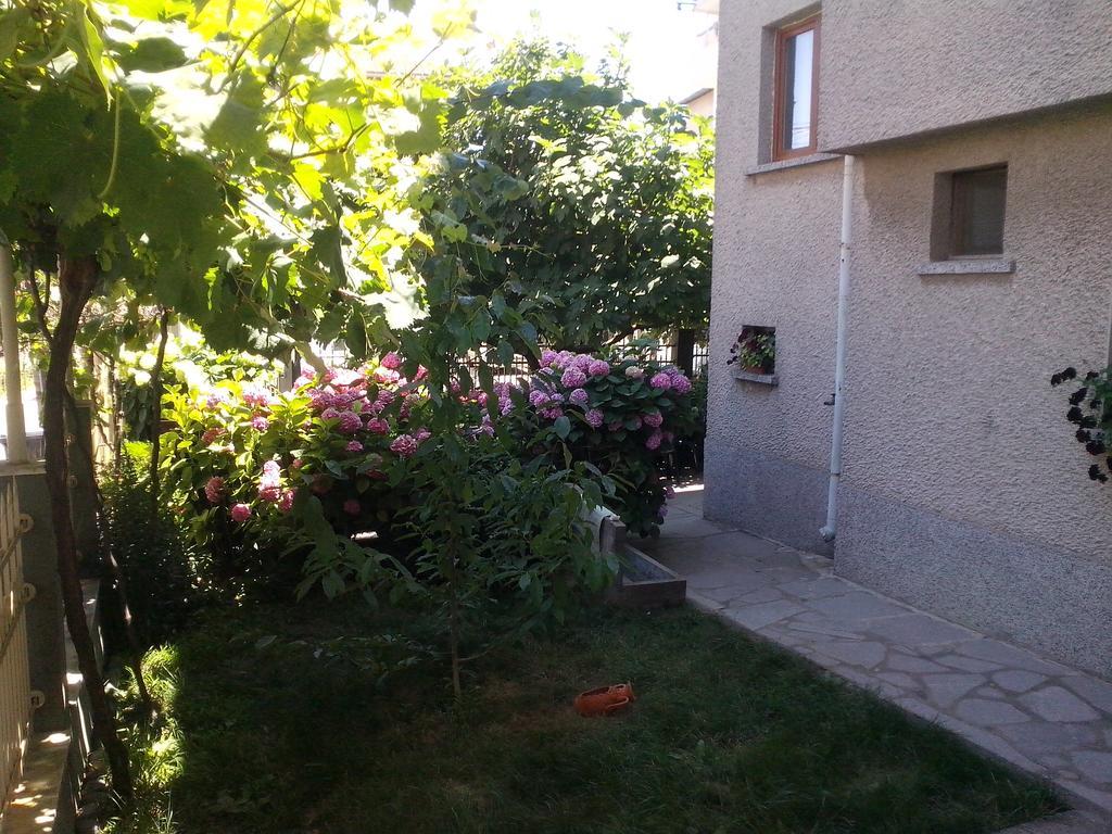 צ'רנומורץ Guest House Krasi מראה חיצוני תמונה
